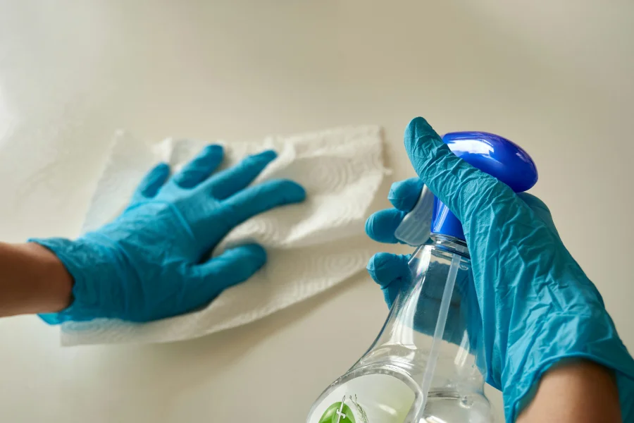 Housecleaning Boston Cleans